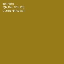 #987B19 - Corn Harvest Color Image
